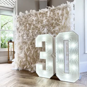 Luxury Feather Wall & LED Numbers