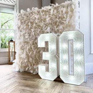 Luxury Feather Walls