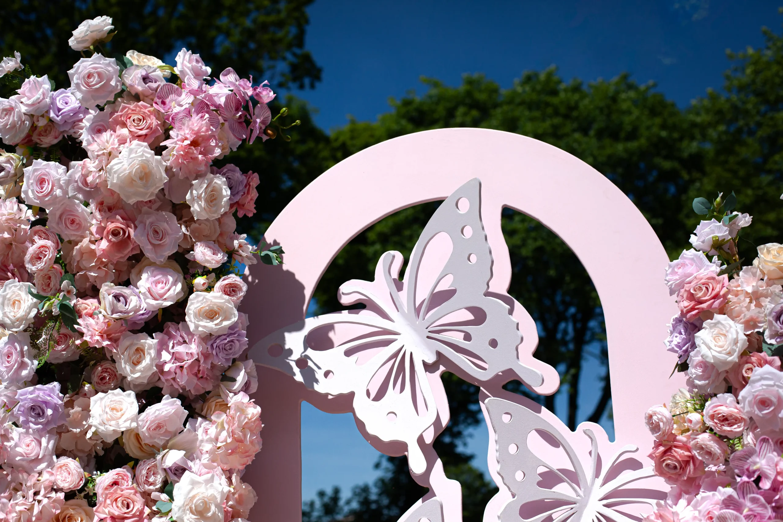 Butterfly Feature Package - Image 5