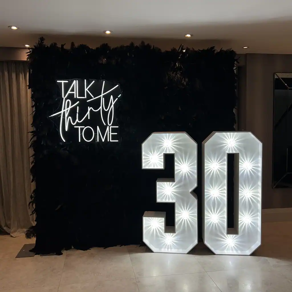 Luxury Feather Wall & LED Numbers - Image 2